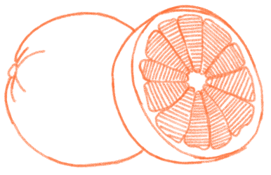 グレープフルーツのアイコン