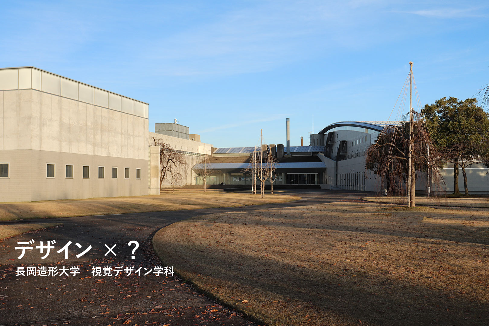 パソコン用画像